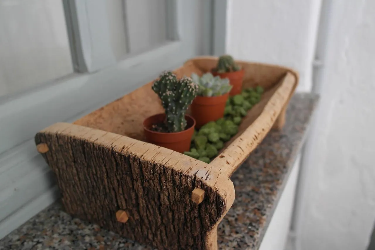 Bed & Breakfast My Eco Rooms Olbia